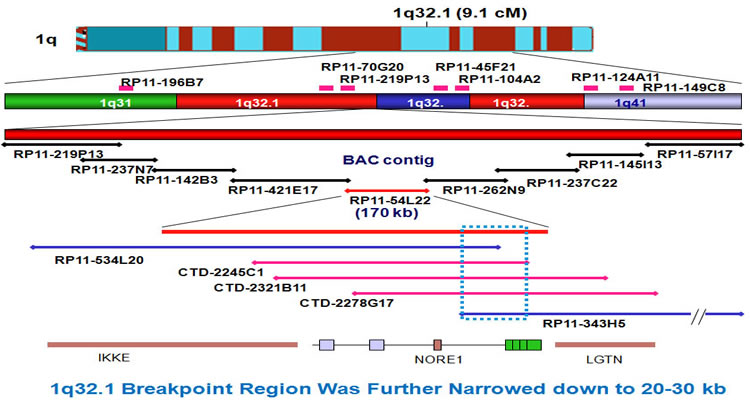 1q breakpoint contig mapping